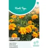 Lage Afrikaan Petite Orange