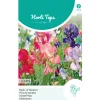Lathyrus Colorama Mix