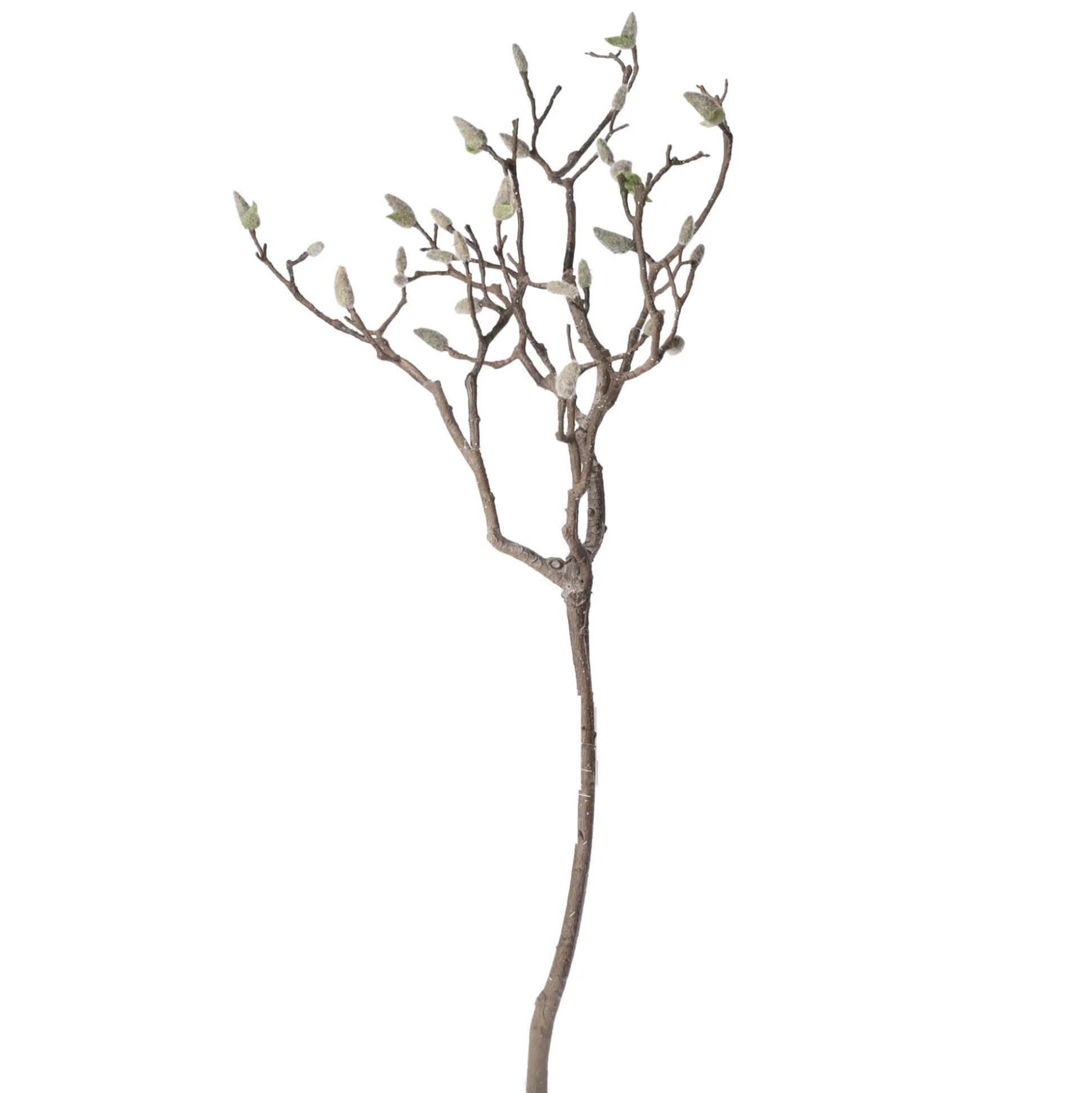 Magnolia tak 93 cm