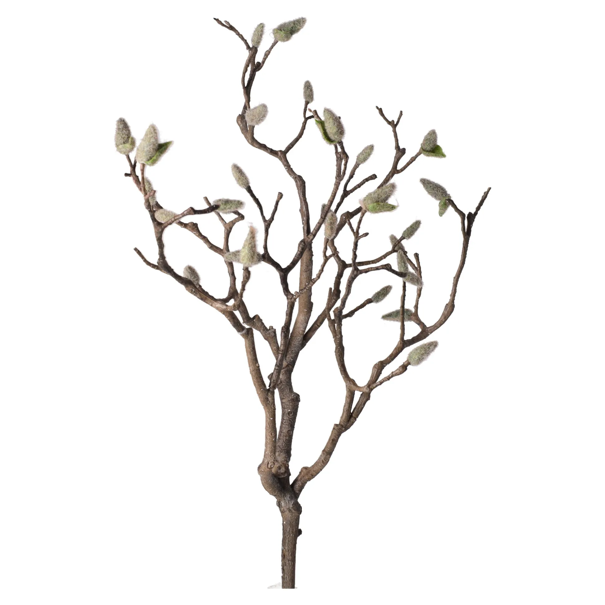 Magnolia tak 93 cm