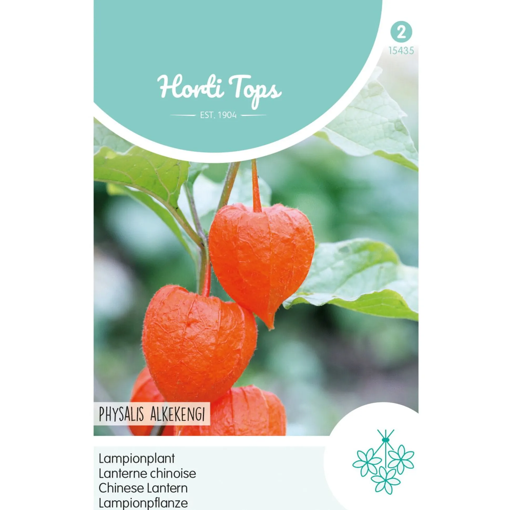 Physalis lampionplant