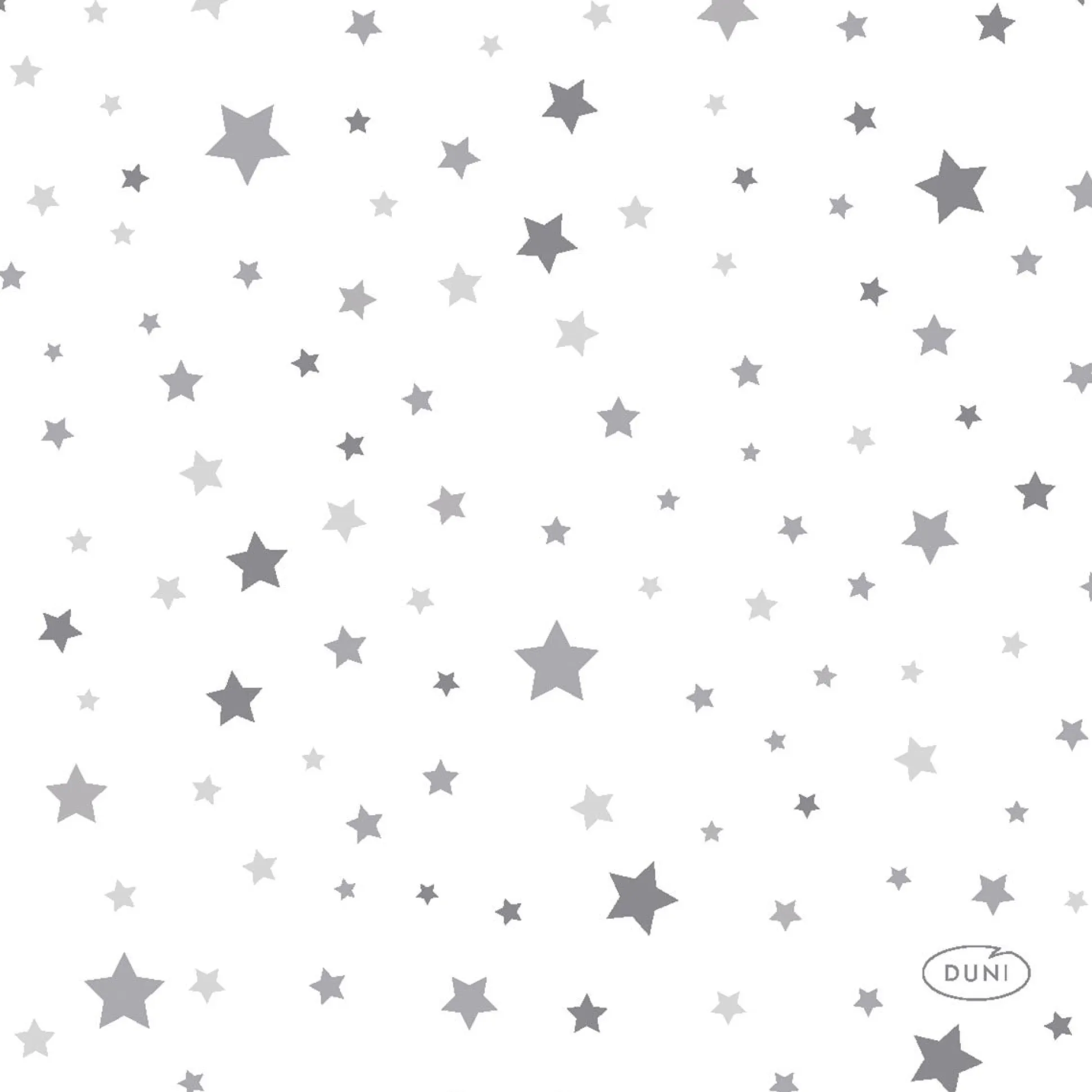 Servet 24 x 24 cm Silver Stardust