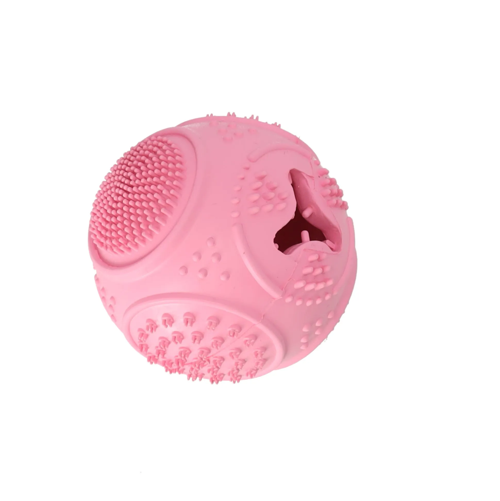 Snackbal hond dental treat en play