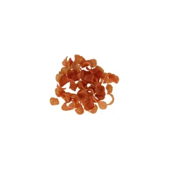 Snack kat zalm rings 50G